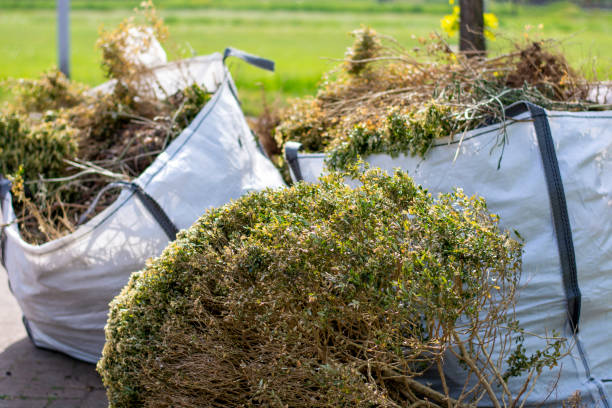Best Commercial Junk Removal  in Aromas, CA